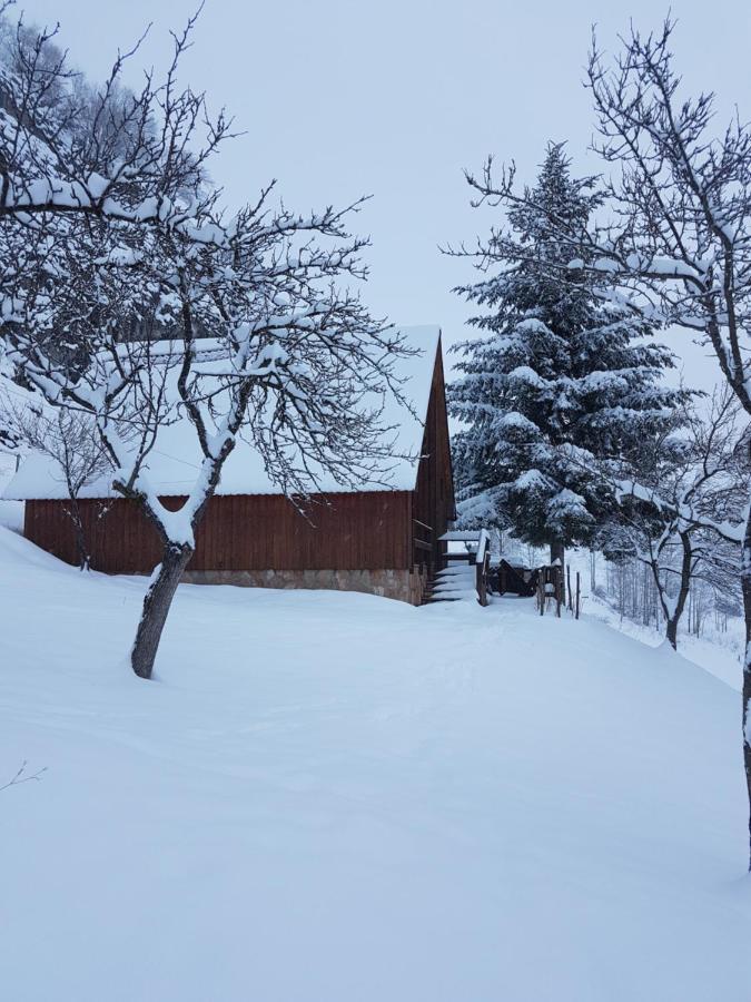 Detached House Milivoje Hotel Poscenje Exterior foto